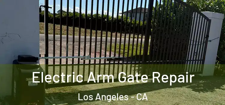 Electric Arm Gate Repair Los Angeles - CA
