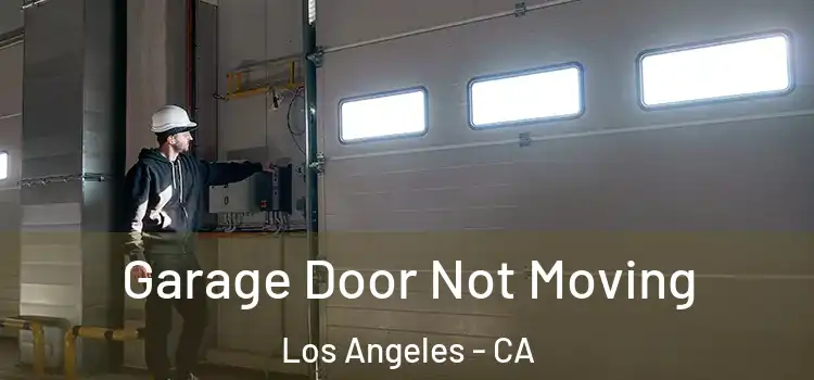 Garage Door Not Moving Los Angeles - CA