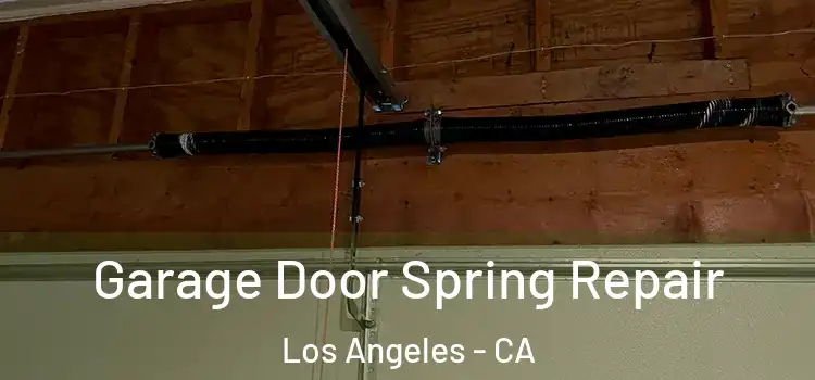  Garage Door Spring Repair Los Angeles - CA