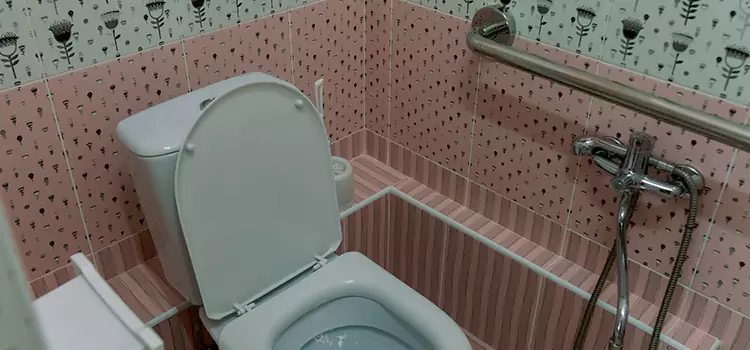 Meeting Diverse Needs With Accessible Restroom Solutions in Los Angeles, CA